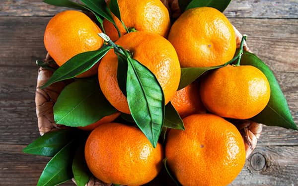 تصویر 3 از قیمت نارنگی پیج با طعم شیرین + پخش تولیدی عمده کارخانه